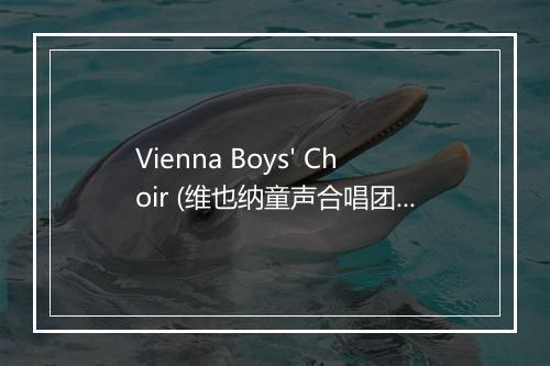 Vienna Boys' Choir (维也纳童声合唱团)-歌词