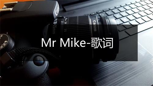 Mr Mike-歌词