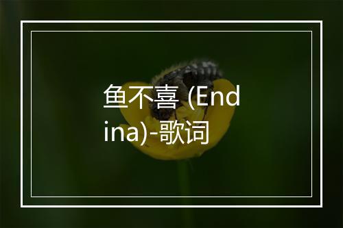 鱼不喜 (Endina)-歌词