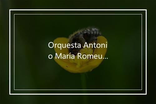 Orquesta Antonio María Romeu-歌词