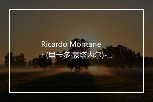 Ricardo Montaner (里卡多·蒙塔内尔)-歌词