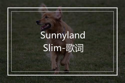 Sunnyland Slim-歌词