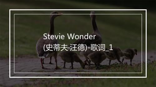 Stevie Wonder (史蒂夫·汪德)-歌词_1