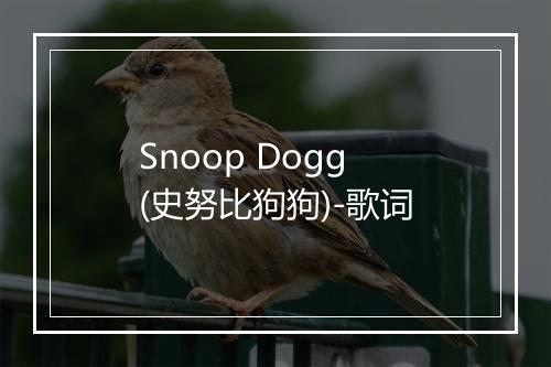 Snoop Dogg (史努比狗狗)-歌词