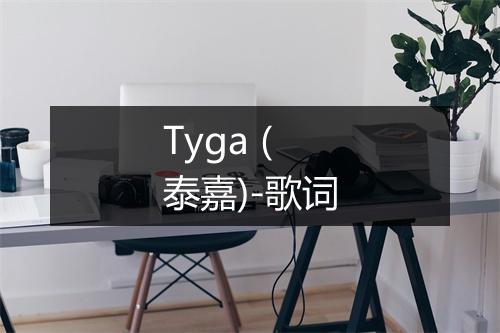 Tyga (泰嘉)-歌词