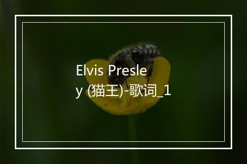 Elvis Presley (猫王)-歌词_1