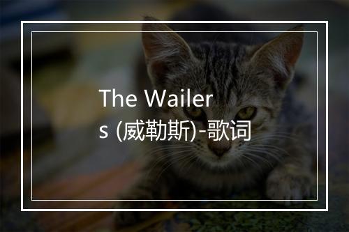 The Wailers (威勒斯)-歌词