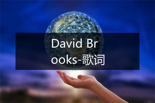 David Brooks-歌词