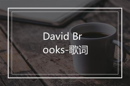 David Brooks-歌词