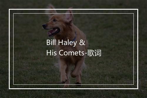 Bill Haley & His Comets-歌词