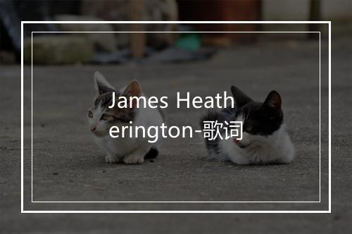 James Heatherington-歌词