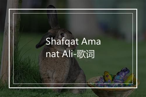 Shafqat Amanat Ali-歌词