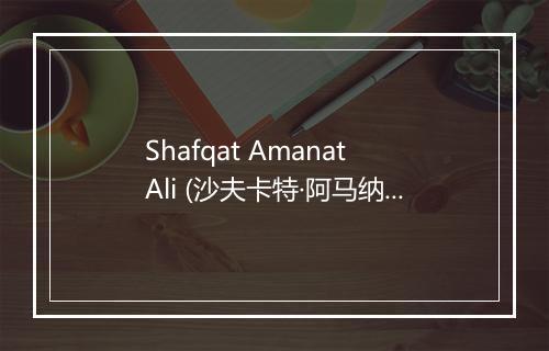 Shafqat Amanat Ali (沙夫卡特·阿马纳特·阿里)-歌词