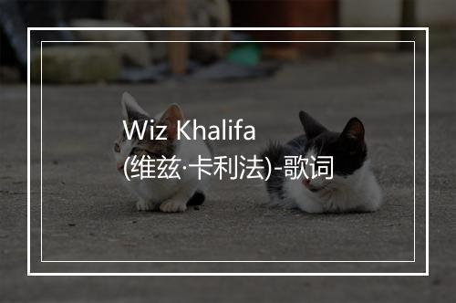 Wiz Khalifa (维兹·卡利法)-歌词