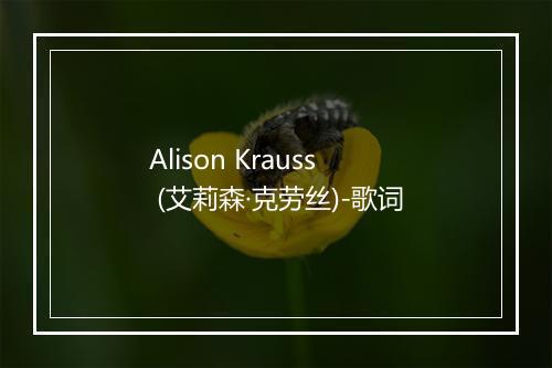 Alison Krauss (艾莉森·克劳丝)-歌词