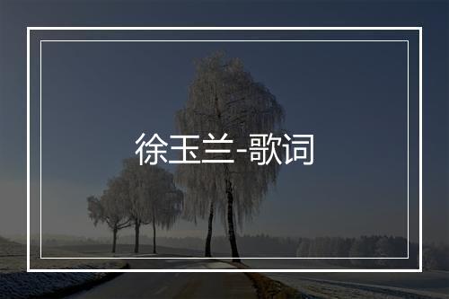 徐玉兰-歌词