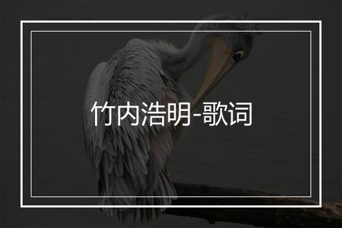 竹内浩明-歌词