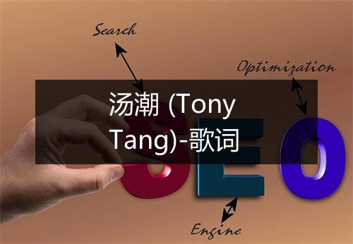 汤潮 (Tony Tang)-歌词