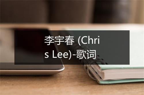 李宇春 (Chris Lee)-歌词