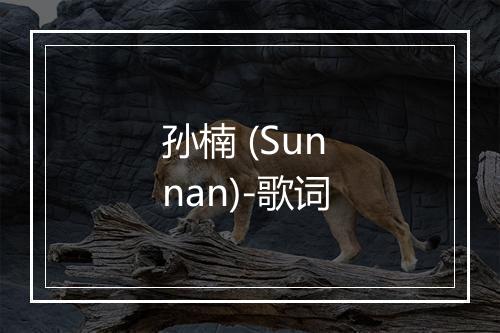 孙楠 (Sun nan)-歌词