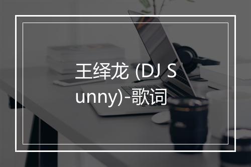 王绎龙 (DJ Sunny)-歌词