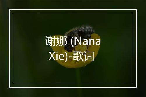 谢娜 (Nana Xie)-歌词