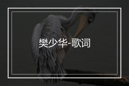 樊少华-歌词