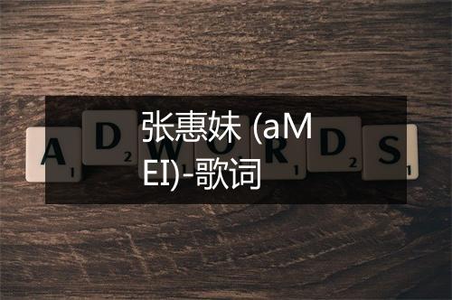 张惠妹 (aMEI)-歌词