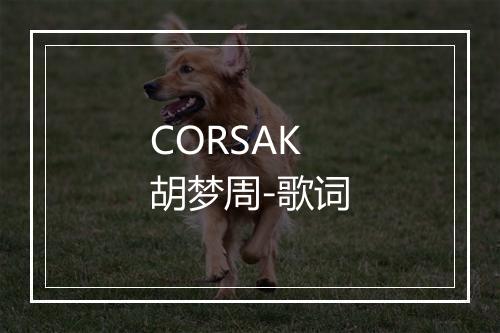 CORSAK胡梦周-歌词