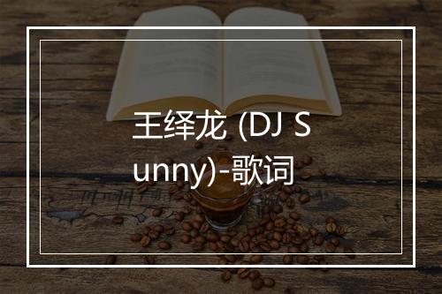 王绎龙 (DJ Sunny)-歌词