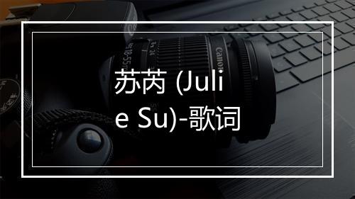 苏芮 (Julie Su)-歌词