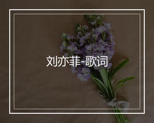 刘亦菲-歌词