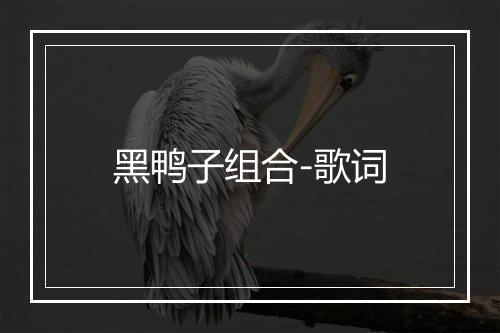 黑鸭子组合-歌词