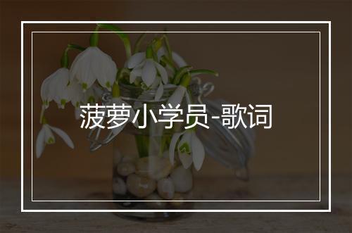 菠萝小学员-歌词