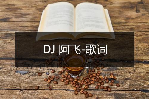 DJ 阿飞-歌词