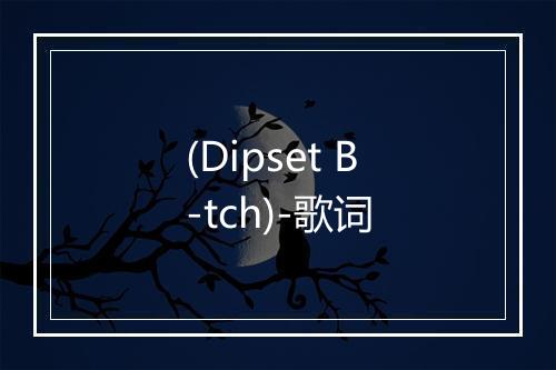 (Dipset B-tch)-歌词