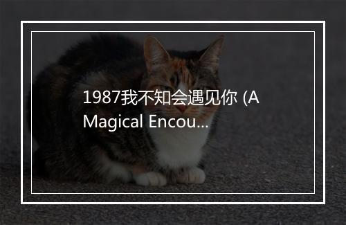 1987我不知会遇见你 (A Magical Encounter 1987) - 李宇春 (Chris Lee)-歌词