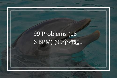 99 Problems (186 BPM) (99个难题) (186 BPM) - Hit Running Trax-歌词