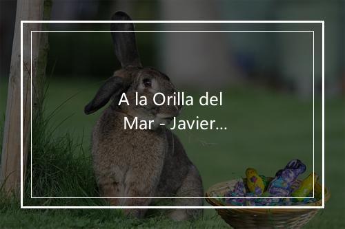 A la Orilla del Mar - Javier Solis-歌词_1