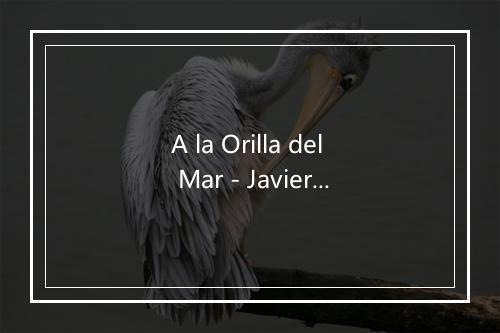 A la Orilla del Mar - Javier Solis-歌词_2