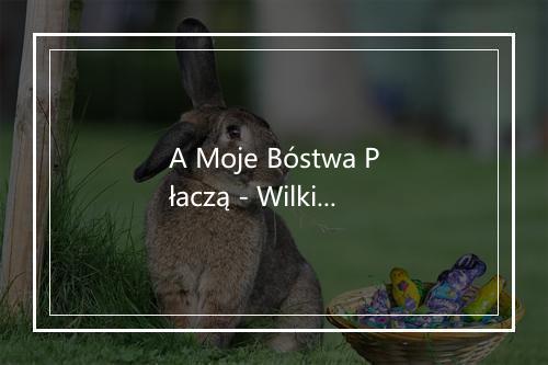 A Moje Bóstwa Płaczą - Wilki-歌词