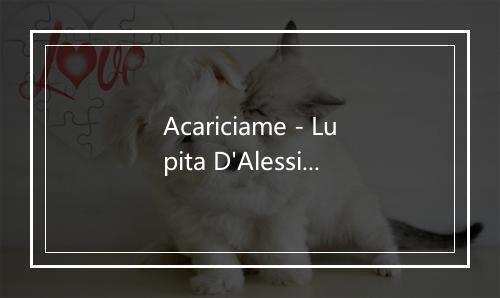 Acariciame - Lupita D'Alessio-歌词_2