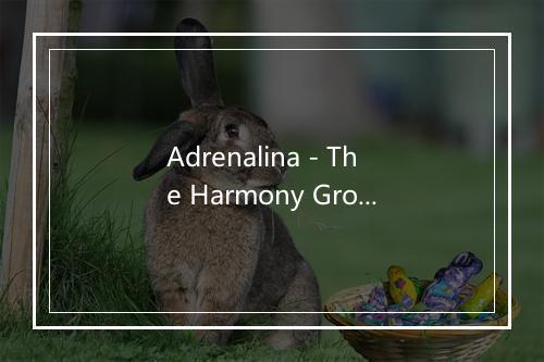 Adrenalina - The Harmony Group-歌词_4