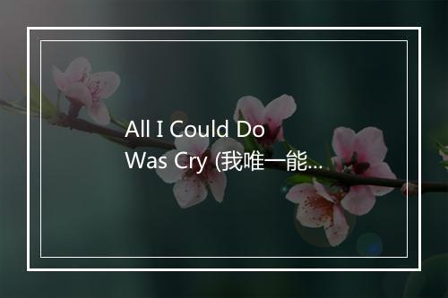 All I Could Do Was Cry (我唯一能做的是哭泣) - The Fabulous Wailers-歌词