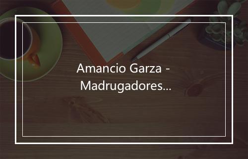 Amancio Garza - Madrugadores del Valle-歌词