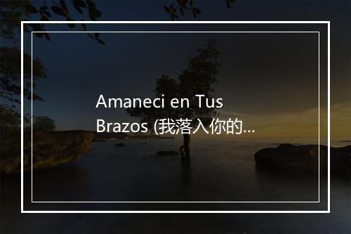 Amaneci en Tus Brazos (我落入你的怀抱中) - Jose Julian-歌词