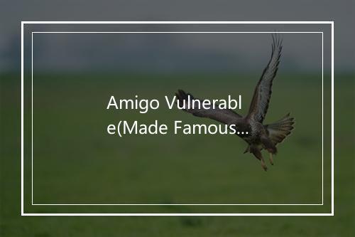 Amigo Vulnerable(Made Famous by Enrique Iglesias) - Latin Pop All-Stars-歌词_2