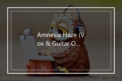 Amnesia Haze (Vox & Guitar Only) - EMA-歌词