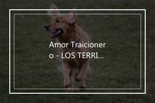 Amor Traicionero - LOS TERRICOLAS-歌词_1