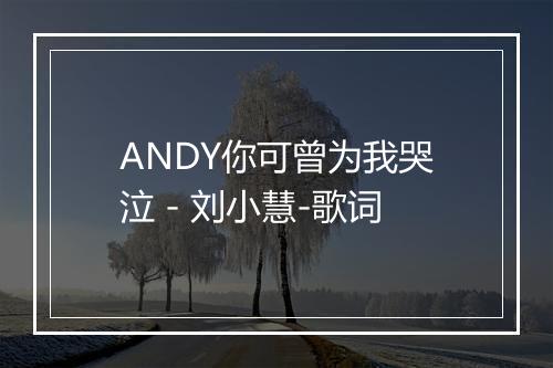 ANDY你可曾为我哭泣 - 刘小慧-歌词